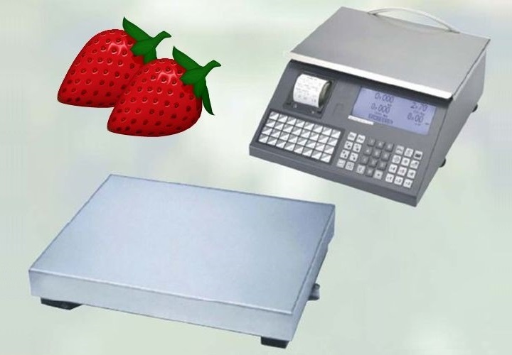 Bild KL7: Selbstpflückerwaage